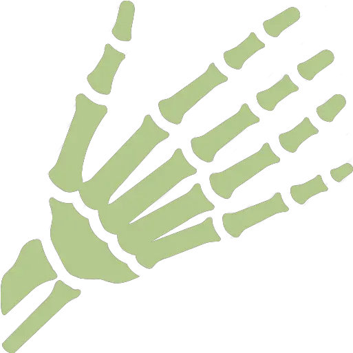  Orthopedic Specialties Bone U0026 Joint Clinic Of Baton Rouge Png Skeleton Foot Icon