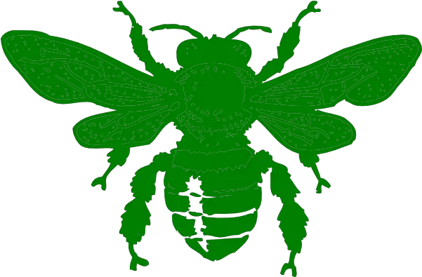  Green Bee Icon Png Green Bee Icon Bee Movie Icon