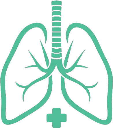  Winnie Palmer Hospital Ese Transitions Transparent Background Lung Clipart Png Tb Icon