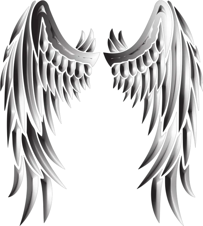  Blackandwhitefeatherwing Png Clipart Royalty Free Svg Png Metallic Angel Wings Png Angel Wing Png