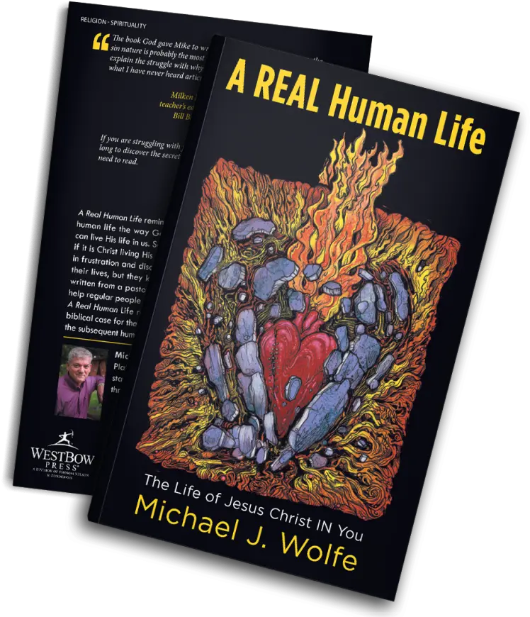  The Book A Real Human Life U2014 Michael J Wolfe Real Danger Making Enemies Png Jesus Christ Transparent