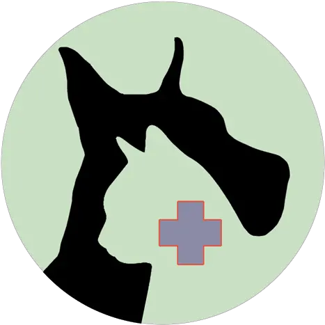  About Our Holistic Pet Care Healing Paws Center Cross Png Healing Icon