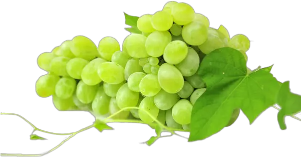  Grapes Download Transparent Png Image Arts Jibiar Cleopatra Grapes Transparent