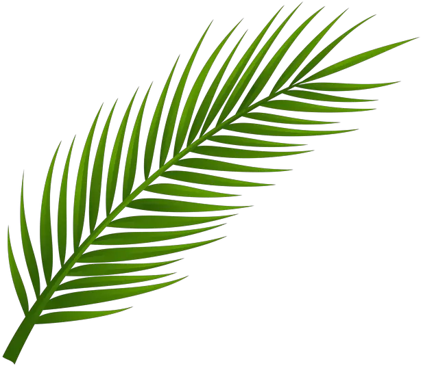  Pin De Ludovic Lunatic Em Leaves Transparent Transparent Background Leaf Png Leaves Png