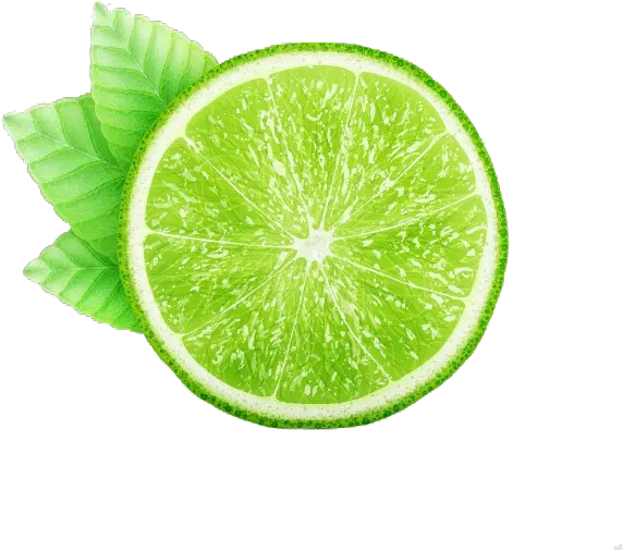  Png Free Download Juice Lemon Kaffir Green Leaves Fresh Vector Lime Transparent