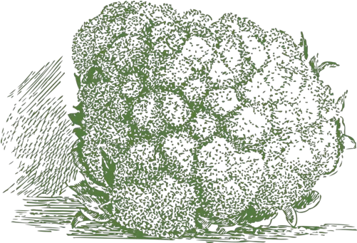  Broccoli Slaw Photo Background Transparent Png Images And Cauliflower Broccoli Transparent Background