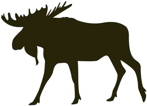  Hunting Moose Left Facing Walking Moose Png Moose Silhouette Png