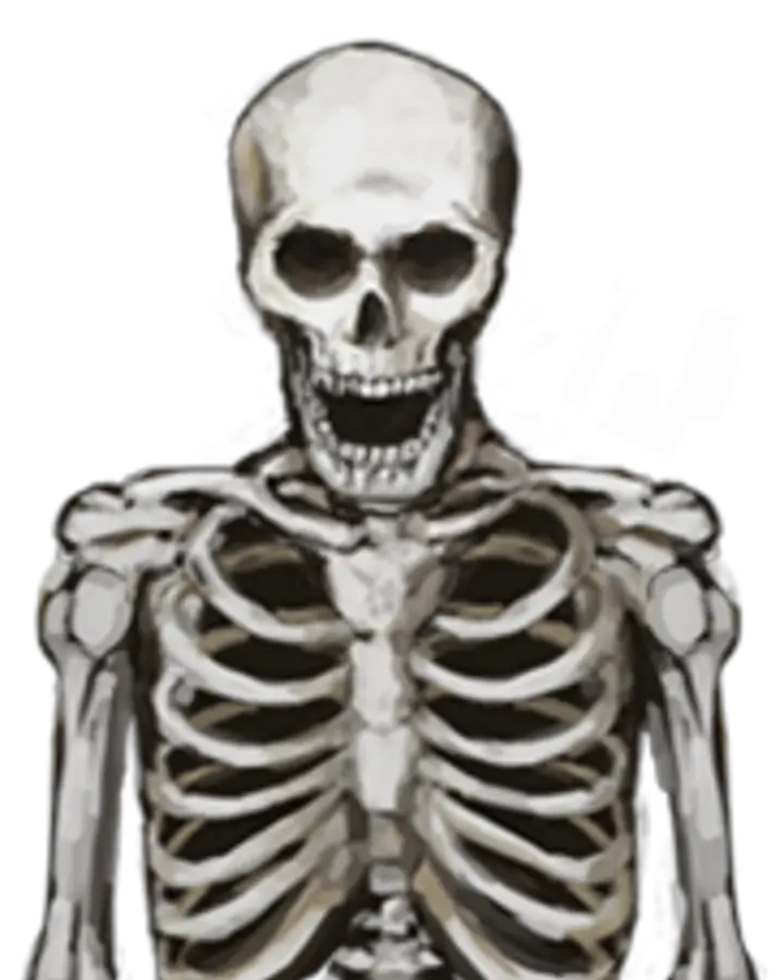  The Skeleton Images Cb Edit Png Skeleton Arm Png