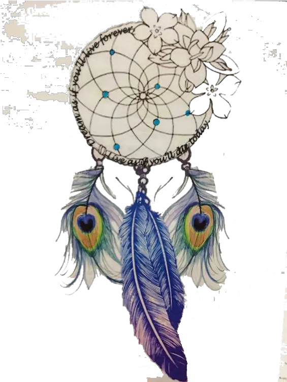  Download Tattoo Feather Drawing Beautiful Dream Catcher Design Png Feather Drawing Png