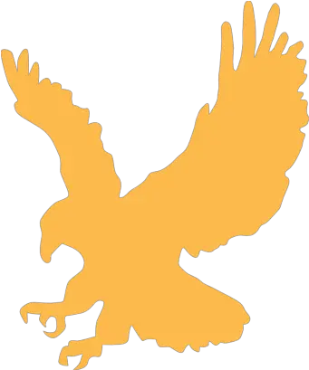  Golden Hawk Fairy Tail Fanon Wiki Fandom Gold Eagle Clip Art Png Hawk Png