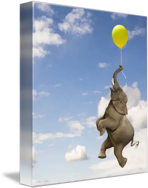  Elephant Grasping The Balloon String Floating Up By Stephanie Roeser Funny Elephant Png Balloon String Png