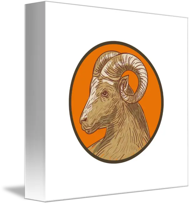  Ram Goat Head Circle Drawing By Aloysius Patrimonio Bighorn Png Goat Head Png