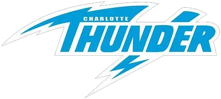  Our Team Horizontal Png Thunder Logo Png