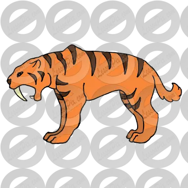  Saber Tooth Tiger Picture For Classroom Therapy Use Png Saber Png Icon