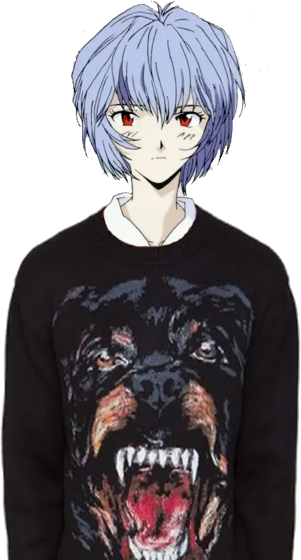  Givenchy Givenchy Rottweiler T Shirt Png Rei Ayanami Png