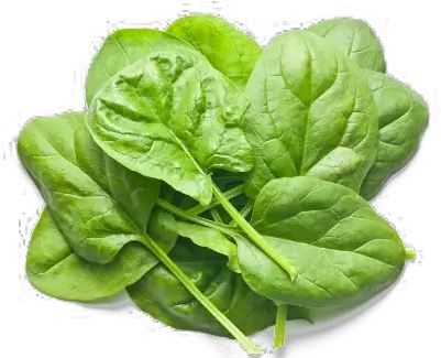  Download Free Png Spinach Clipart Leaf Vegetable Magnesium Rich Foods Spinach Png