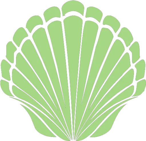  Guacamole Green Seashell 2 Icon Coquille Saint Jacques Icone Png Seashell Transparent