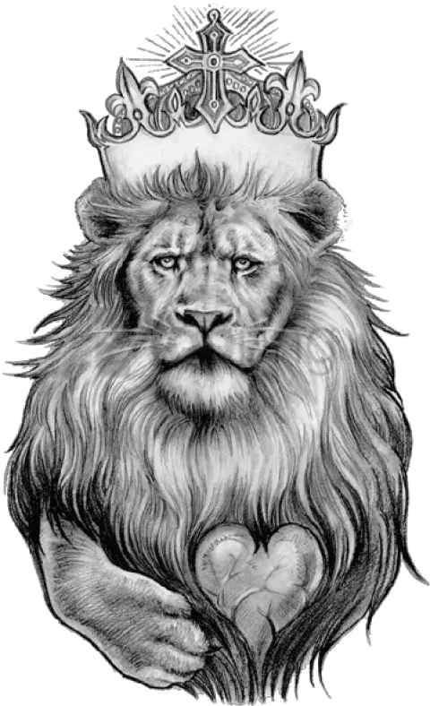  Lion Tattoo Png Transparent Images All Lion With Crown Tattoo Designs Face Tattoo Png