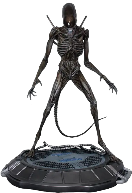  Alien Covenant Xenomorph 14 Scale Statue By Hollywood Antioquia La Mas Educada Png Xenomorph Png