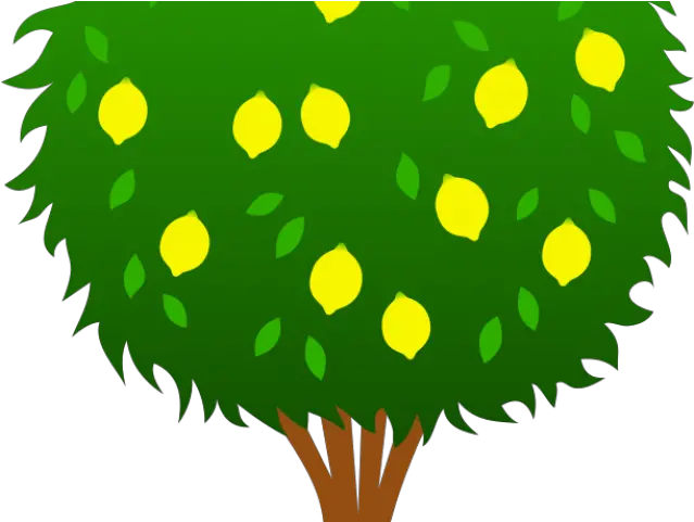  Library Of Lemon Tree Banner Transparent Mango Tree Clipart Png Lemon Tree Png