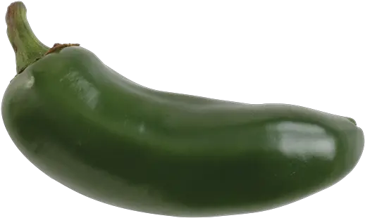  Download Jalapeno Pepper Green Jalapeno Pepper Full Size Zucchini Png Pepper Transparent