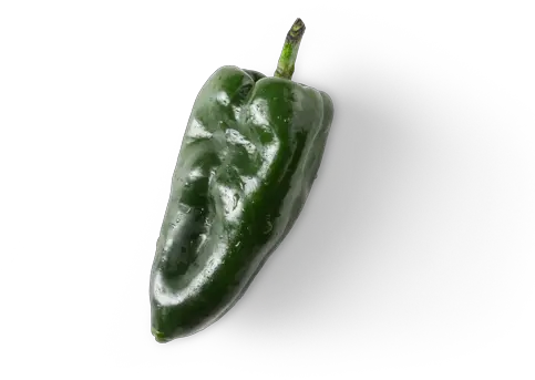  Chipotle Poblano Pepper Poblano Pepper Transparent Png Pepper Transparent