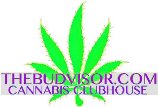  Grow United States The Budvisor Presents Cannabis Illustration Png Weed Plant Png