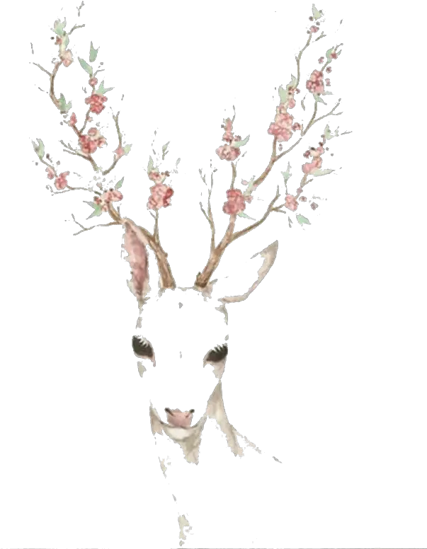  Download Elk Blossom Cherry Deer Deer With Flower Antlers Drawing Png Deer Antlers Png