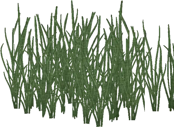  Image Plants Png Dry Grass Png