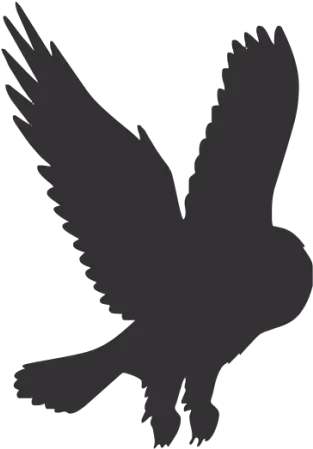  Download Hd Owl Silhouette Png Black Flying Owl Silhouette Owl Silhouette Png