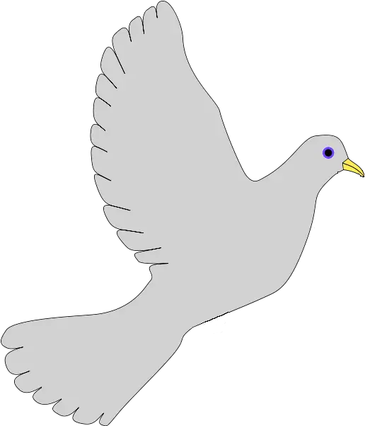  Peace Dove Symbool Vrijheid Png Peace Dove Png