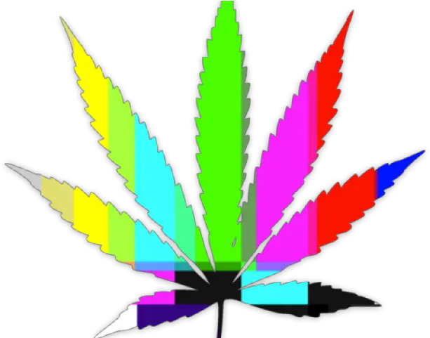  Download Hd Weed Leaf Transparent Png Marihuana Png Weed Leaf Png