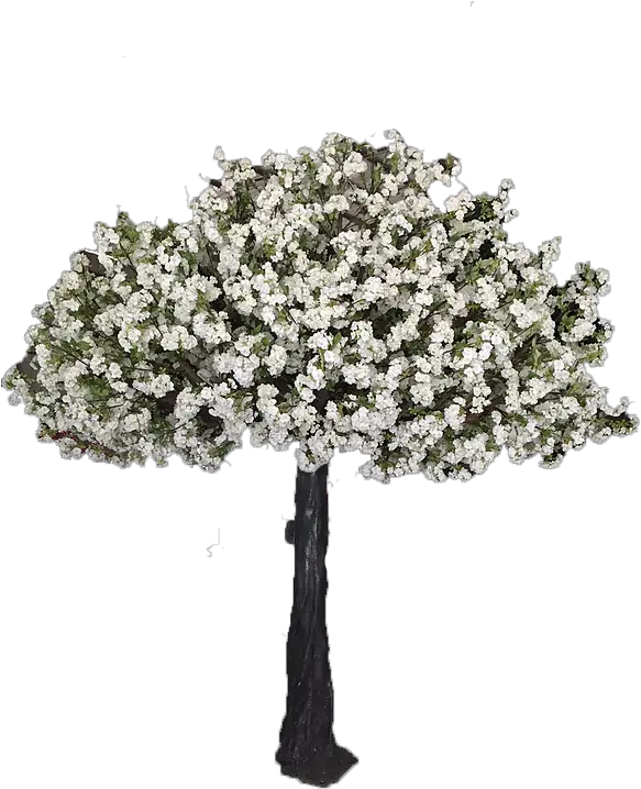  Mohani Event Design Vancouver Cherry Blossom Tree Rentals Bouquet Png Cherry Blossom Tree Png