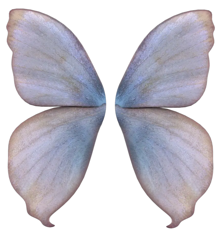  Fairy Wings Transparent Background Png