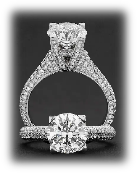  Engagement Rings Lp Parade Jewellers Los Angeles Zoo Png Halo Ring Png