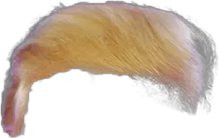  Trump Hair Transparent Png 6 Image Sketch Trump Transparent Background