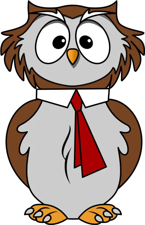  Wise Owl Drawing Free Download Wise Owl Cartoon Png Owl Transparent