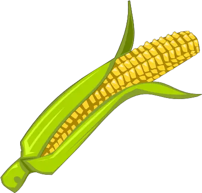  Download Corn Clipart Png Babycorn Clipart Corn Transparent Background