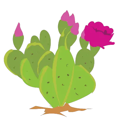  Prickly Pear Cactus Clipart Illustration Png Cactus Clipart Png