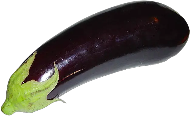  Eggplant Download Free Png Play Brinjal And Eggplant Difference Eggplant Transparent