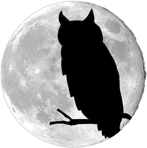  Owl Moon Png Womenu0027s T Shirt Owl Moon Png Made In Usa Png