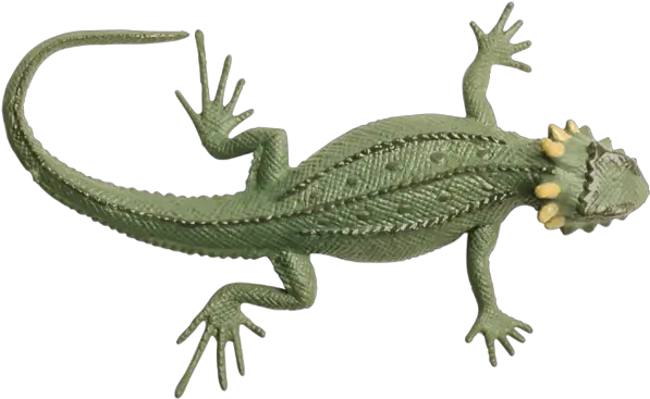  Lizard Transparent Png Image Web Icons Lizard Png Lizard Transparent