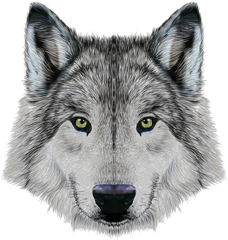  Download Mexican Imposing Arctic Dog Illustration Wolf Dog Wolf Face Png Wolf Face Png