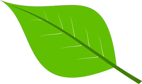  Library Stock Green Leaves Png Files Green Leaf Clipart Leaves Clipart Png