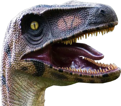  Velociraptor Head Transparent Background Free Png Images Velociraptor Head Transparent Background Animal Head Png