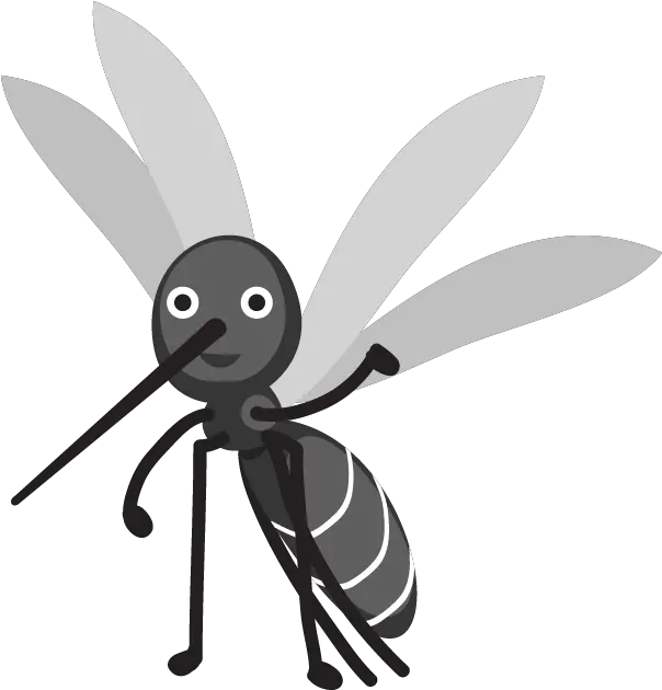  Animals And Insects Of Yakushima Transparent Mosquito Transparent Mosquito Cartoon Large Png Mosquito Transparent