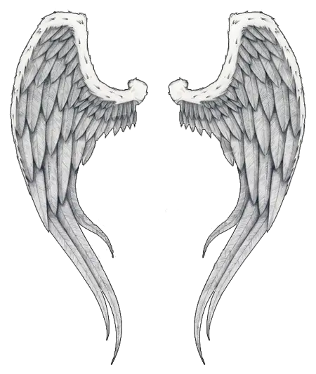  Download Wings Tattoos Free Png Transparent Image And Clipart Transparent Background Angel Wings Clip Art Wing Png