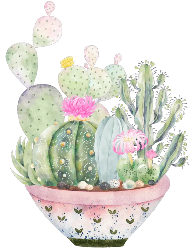  Large Plate Of Plants Png Transparent Logos De Cactus Y Suculentas Succulent Transparent Background