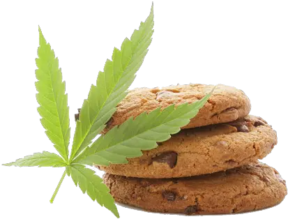  Weed Cannabis Lead And Cookies Edible Cbd Png Weed Transparent Background