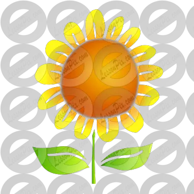  Sunflower Stencil For Classroom Therapy Use Great For Cricket Png Sunflower Clipart Png